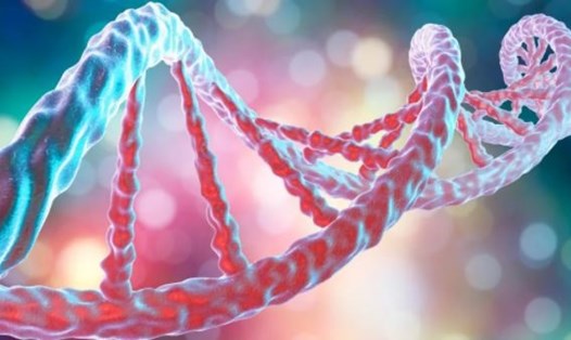 Các nhà khoa học phát hiện loại gene làm tăng nguy cơ bệnh nặng và tử vong do COVID-19. Ảnh: Science Library