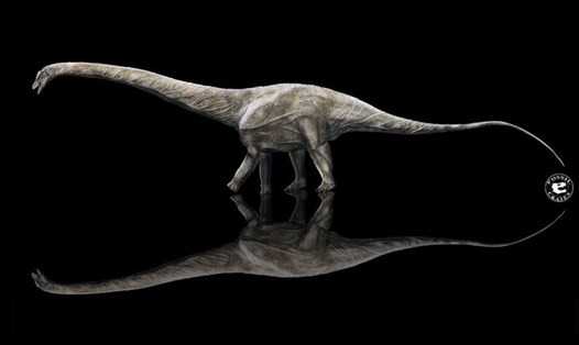 Loài khủng long dài nhất trên Trái đất đã được xác nhận. Ảnh: Brian Curtice