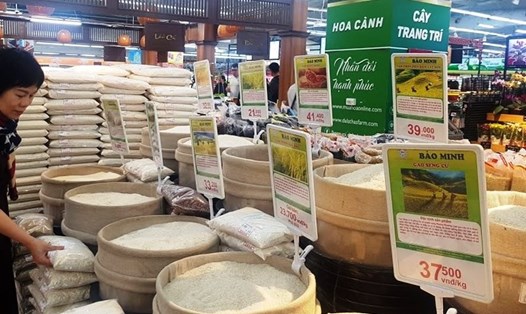 Giá lúa gạo giảm nhẹ làm tăng cơ hội cạnh tranh cho xuất khẩu gạo của Việt Nam. Ảnh: Vũ Long