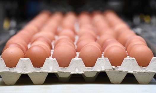 Trứng cũng được xem là một trong số những "siêu thực phẩm". Ảnh: AFP/Getty