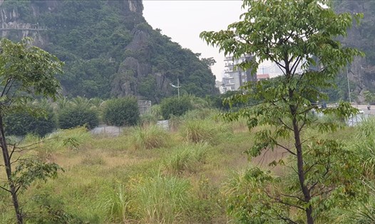Sau 6 năm khởi công, khu đất "vàng" dành cho dự án khách sạn Sheraton Hạ Long Bay vẫn là bãi đất hoang. Ảnh: Nguyễn Hùng