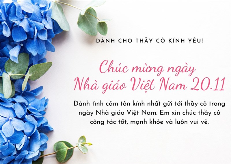 Ngày Nhà giáo Việt Nam là dịp để mọi người thể hiện tình cảm và sự trân trọng đối với các thầy cô giáo. Hãy cùng thưởng thức những lời chúc tuyệt vời và cảm nhận sự quan tâm và tình yêu thương từ các học sinh dành cho những người thầy cô của mình.