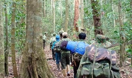 Hành trình tuần tra bảo vệ rừng của lực lượng chức năng. Ảnh: Phan Tuấn