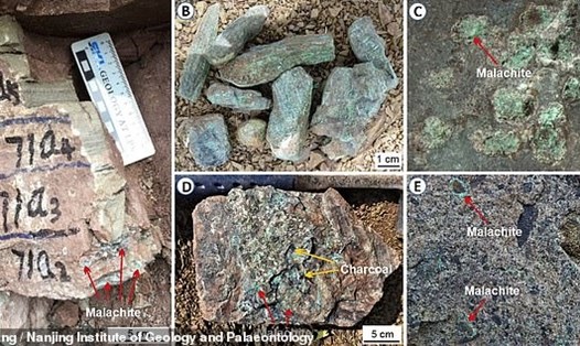 Các mẫu đá được khai quật ở tỉnh Tứ Xuyên, Trung Quốc. Ảnh: H.Zhang/Nanjing Institute of Geology and Palaeontology