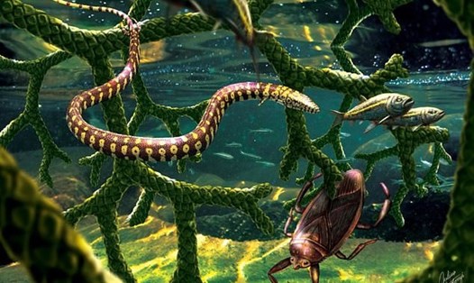Hóa thạch một con rắn 4 chân được phát hiện vào năm 2015 không thực sự là rắn mà là một con thằn lằn biển thân dài. Ảnh chụp màn hình/Julius Csotonyi/Taylor & Francis/Đại học Alberta