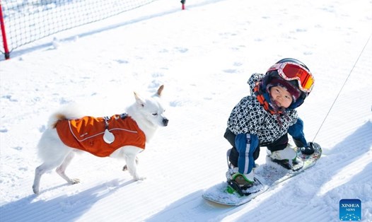 Bé gái Trung Quốc 11 tháng tuổi trượt tuyết gây bão mạng. Ảnh: Xinhua