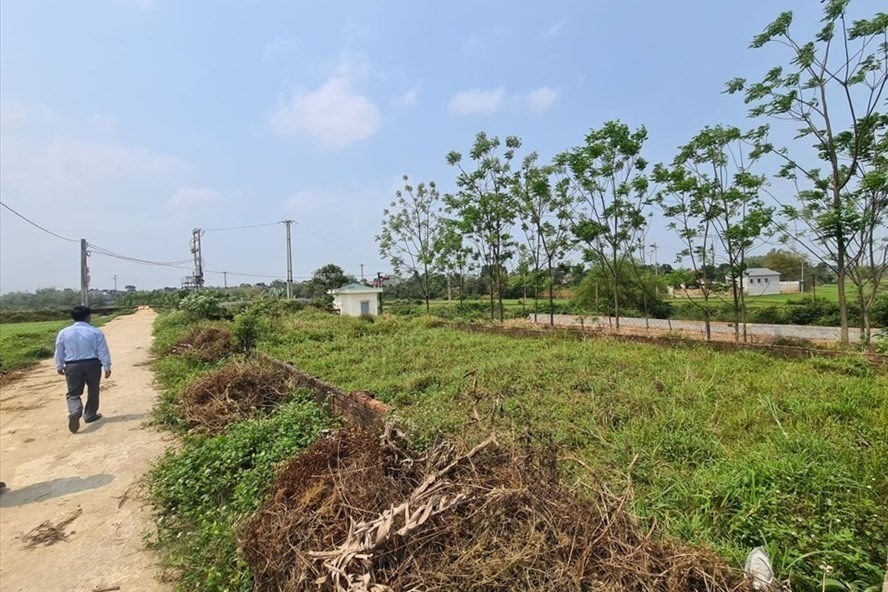 Nhiều người lợi dụng thông tin quy hoạch để “kích sóng” bất động sản. Ảnh Cao Nguyên.