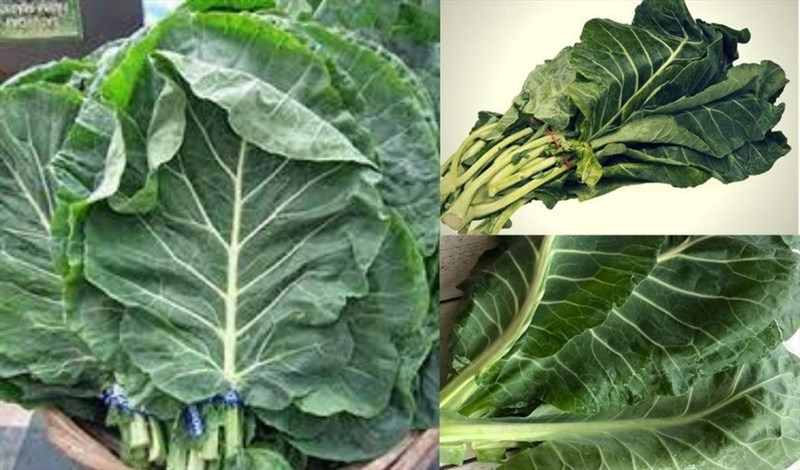 Bất ngờ với những lợi ích của cải rổ