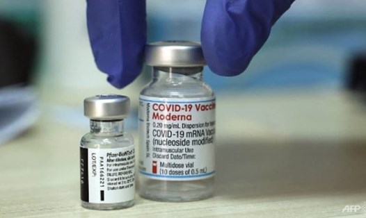 Lọ vaccine Pfizer và Moderna. Ảnh: AFP