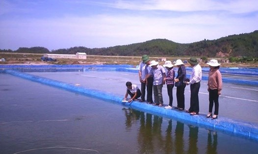 Cán bộ khuyến nông tư vấn kỹ thuật hỗ trợ người nuôi ngao tại Nam Định. Ảnh: khuyennong.gov.vn