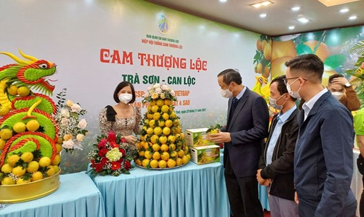 Gian hàng trưng bày cam Thượng Lộc (Can Lộc, Hà Tĩnh) tại hội nghị xúc tiến tiêu thụ chiều nay. Ảnh: TT.