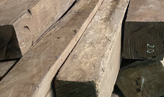 Số gỗ lậu có nguồn gốc từ Lào. Ảnh: Hưng Thơ.