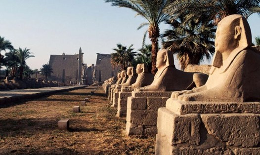 Đại lộ Nhân sư và lối vào đền Amun, Luxor, Thebes cổ đại, Ai Cập. Ảnh: AFP/Getty