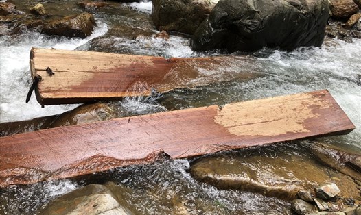 Các phách gỗ được vận chuyển ra khỏi rừng bằng cách kéo dọc theo suối. Ảnh: KBT.
