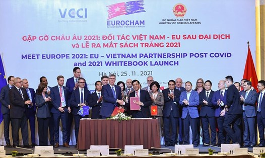 Hội nghị Gặp gỡ Châu Âu 2021: Đối tác Việt Nam-EU sau đại dịch. Ảnh: BNG
