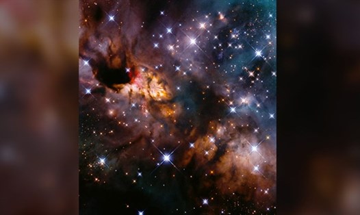 Tinh vân Prawn (IC 4628) là một vườn ươm sao khổng lồ nằm cách Trái đất khoảng 6.000 năm ánh sáng. Ảnh:  NASA/ESA/J. Tan/Gladys Kober