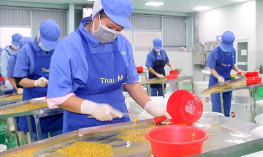 Công ty Cổ phần Chế biến Nông sản thực phẩm Thái An, tại KCN Tâm Thắng, huyện Cư Jút chế biến sản phẩm. Ảnh: Nguyễn Lương