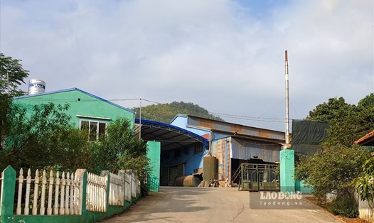 Tình trạng xả khói bụi của cơ sở chế biến cà phê ở TP Sơn La đã được cơ quan chức năng tỉnh yêu cầu khắc phục sau phản ánh của Lao Động. Ảnh: An Trọng.