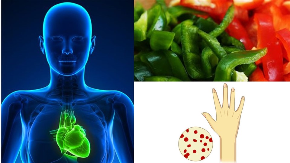 Những lợi ích bất ngờ của việc ăn ớt chuông mỗi ngày. Đồ họa: Ngọc Ánh