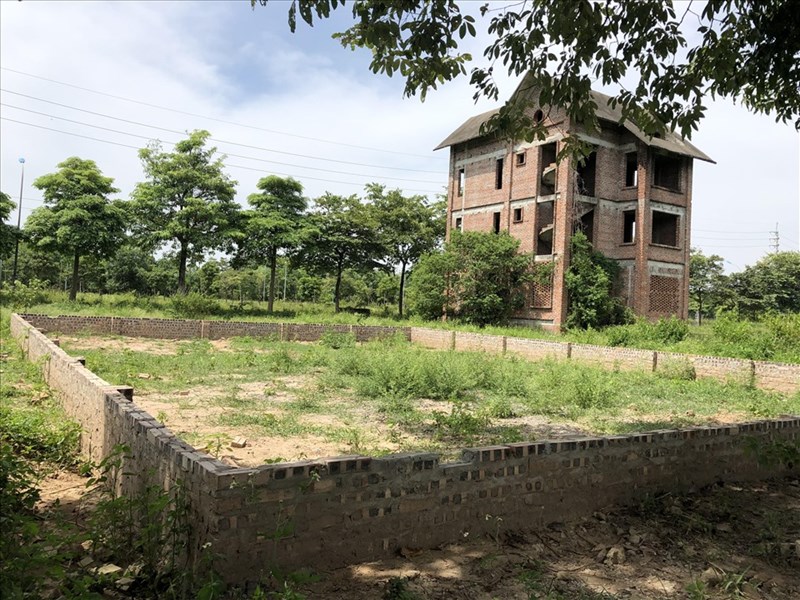 laodong.vn