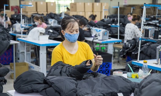 Công ty Cổ phần May xuất nhập khẩu Tân Định tuyển dụng hơn 40 lao động trở về từ các tỉnh phía Nam. Ảnh: Hưng Thơ.