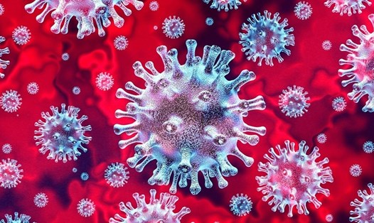 Ảnh minh họa virus SARS-CoV-2. Ảnh: AFP