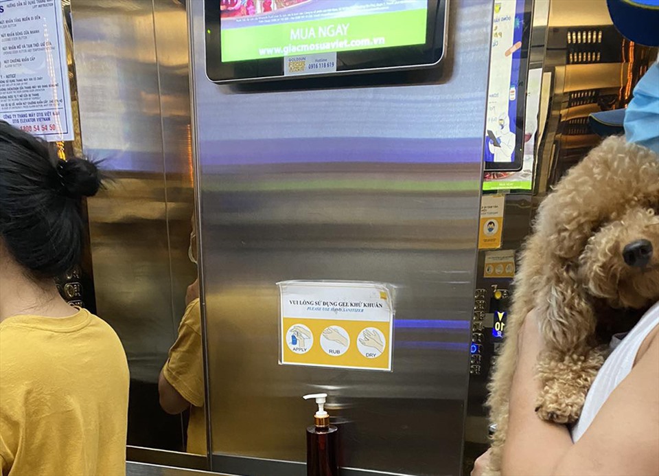 Trường hợp mang chó vào cả thang máy dành cho người tại một chung cư có quy định cấm nuôi chó mèo ở Quận 4, TPHCM. Ảnh: Thế Lâm.
