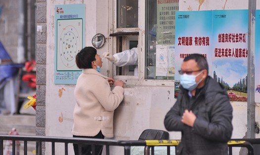 Nhân viên y tế Trung Quốc lấy mẫu xét nghiệm COVID-19 cho người dân ở Cáp Nhĩ Tân, tỉnh Hắc Long Giang. Ảnh: AFP