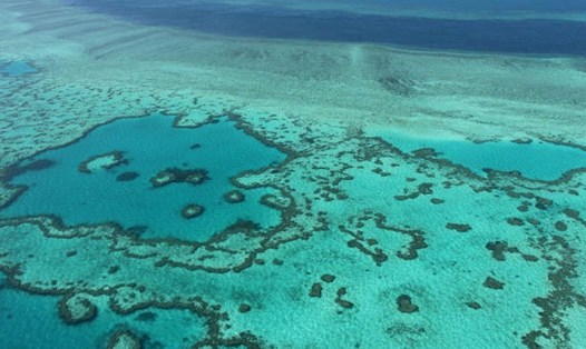 Các đợt tẩy trắng san hô đã ảnh hưởng tới 98% rạn san hô lớn nhất thế giới ở Australia. Ảnh: AFP