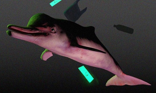 Hồi sinh cá heo sông Dương Tử đã tuyệt chủng bằng công nghệ. Ảnh: Koseda Studio