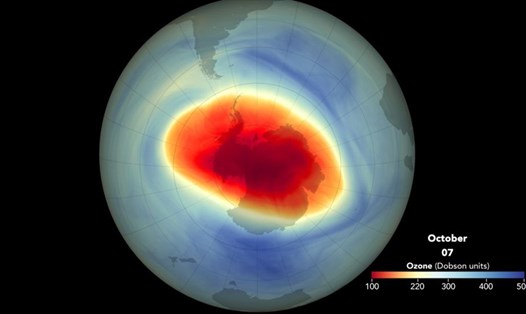 Lỗ thủng ozone ở Nam Cực năm 2021 đạt diện tích cực đại vào ngày 7.10 và được xếp hạng là lỗ hổng lớn thứ 13 kể từ năm 1989. Ảnh: Joshua Stevens, sử dụng dữ liệu được sự cho phép của Paul Newman và Eric Nash/NASA/Ozone Watch