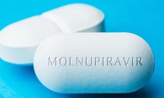 Thuốc Molnupiravir điều trị bệnh nhân mắc COVID-19 thể nhẹ. Ảnh minh hoạ