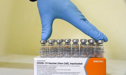 Vaccine COVID-19 của Sinovac an toàn với trẻ em và trẻ sơ sinh từ 6 tháng tuổi, theo dữ liệu mới nhất. Ảnh: AFP