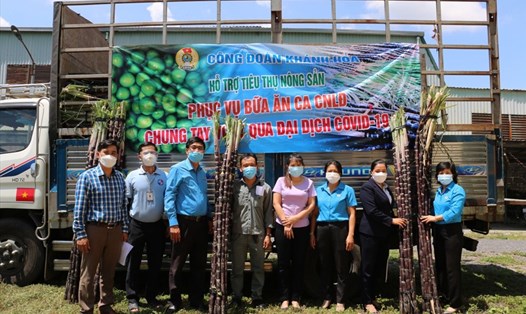 Lãnh đạo Liên đoàn Lao động tỉnh Khánh Hoà hỗ trợ gạo bổ sung bữa ăn ca cho công nhân tại các doanh nghiệp 3 tại chỗ ở thị xã Ninh Hoà. Ảnh: Phương Linh