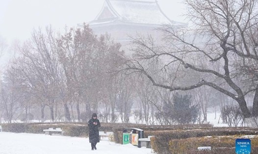 Tuyết rơi ở Trường Xuân, tỉnh Cát Lâm, Đông Bắc Trung Quốc, ngày 7.11.2021. Ảnh: Xinhua