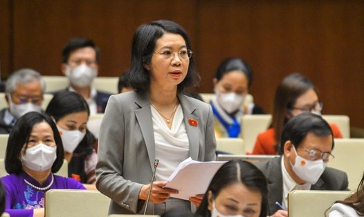 Đại biểu Mai Thị Phương Hoa - Phó Chủ nhiệm Uỷ ban Tư pháp của Quốc hội. Ảnh QH