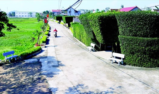 Với 94% xã đạt chuẩn nông thôn mới, hạ tầng nông thôn của Hà Tĩnh sạch đẹp, khang trang. Ảnh: KHCN