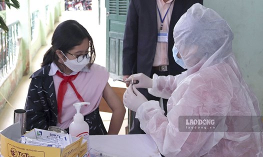 Tỉnh Điện Biên sẽ xin ý kiến Bộ Y tế về 2 lô vaccine Pfizer đang tiêm cho học sinh. Ảnh: Bích Duyên