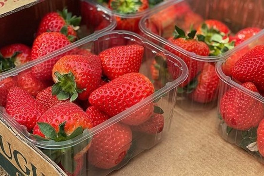 Dâu tây là loại trái cây tốt cho người mắc bệnh gan nhiễm mỡ. Ảnh: AFP