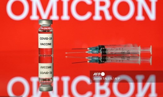 Mũi tăng cường vaccine COVID-19 của Pfizer cho thấy hiệu quả đối với biến thể Omicron. Ảnh: AFP