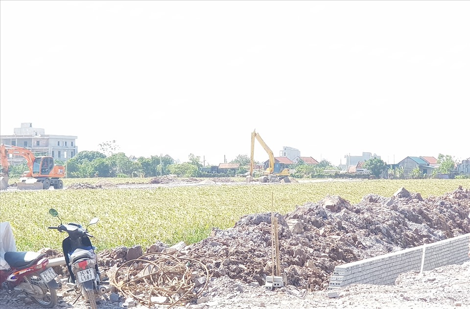 Năm 2022, toàn tỉnh Ninh Bình sẽ thực hiện chuyển mục đích sử dụng gần 1.000ha đất trồng lúa, rừng phòng hộ để làm dự án. Ảnh: NT