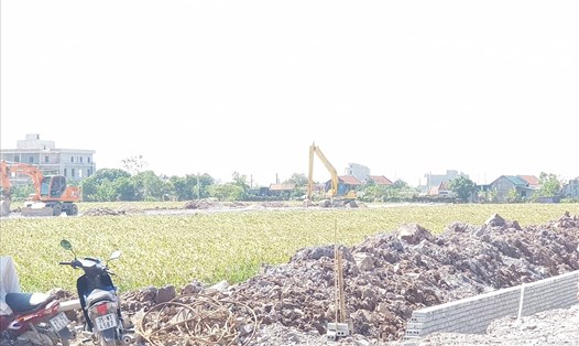 Năm 2022, toàn tỉnh Ninh Bình sẽ thực hiện chuyển mục đích sử dụng gần 1.000ha đất trồng lúa, rừng phòng hộ để làm dự án. Ảnh: NT