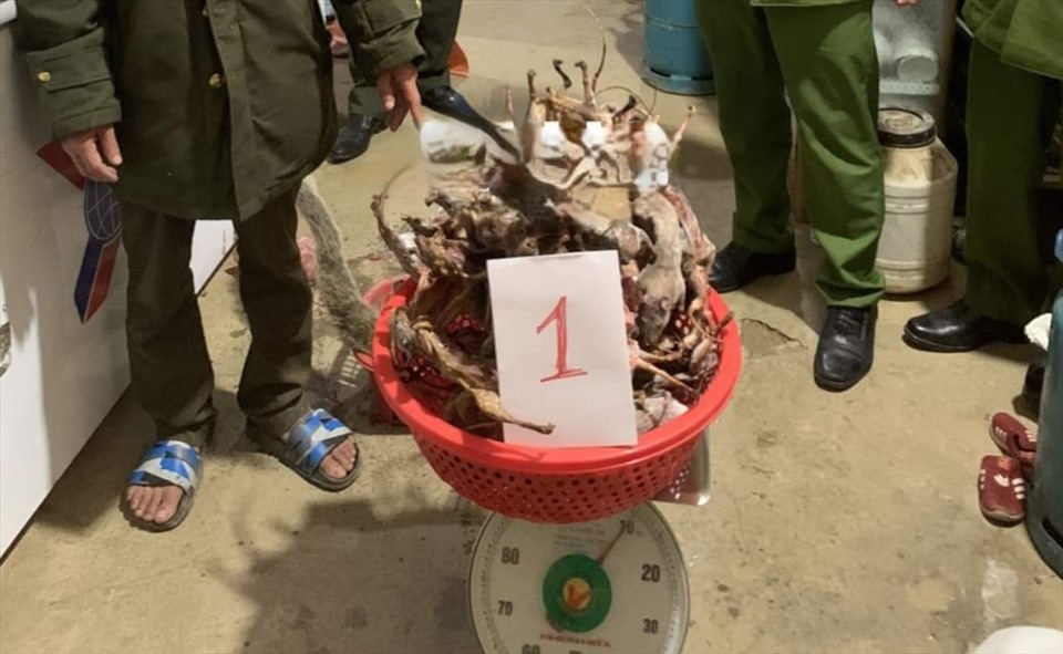 Bắt giữ 3 đối tượng ở Hà Giang tàng trữ hơn 400 cá thể động vật hoang dã