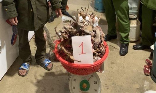 Bắt giữ 3 đối tượng tàng trữ lượng lớn động vật hoang dã quý hiếm tại Hà Giang. CAHG