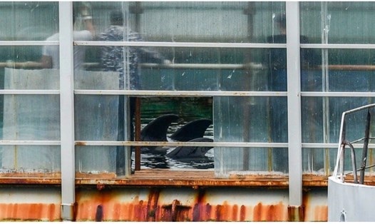 Hình ảnh tại "nhà tù cá voi" khét tiếng ở Nga khiến cộng đồng quốc tế phẫn nộ. Ảnh: AFP