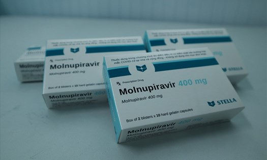 Thuốc molnupiravir điều trị COVID-19. Ảnh: Nguyễn Ly