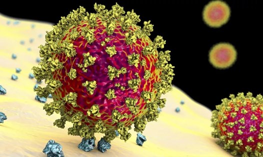 Ảnh minh họa virus SARS-CoV-2. Ảnh chụp màn hình/KATERYNA KON/SCIENCE PHOTO LIBRARY