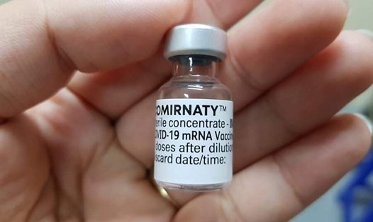 Vaccine Comirnaty phòng COVID-19 của Pfizer. Ảnh: Thùy Linh