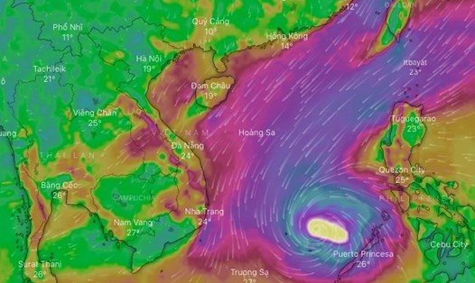 Theo mô hình dự báo Windy, bão có khả năng vào Biển Đông trong khoảng ngày 17 - 18.12.