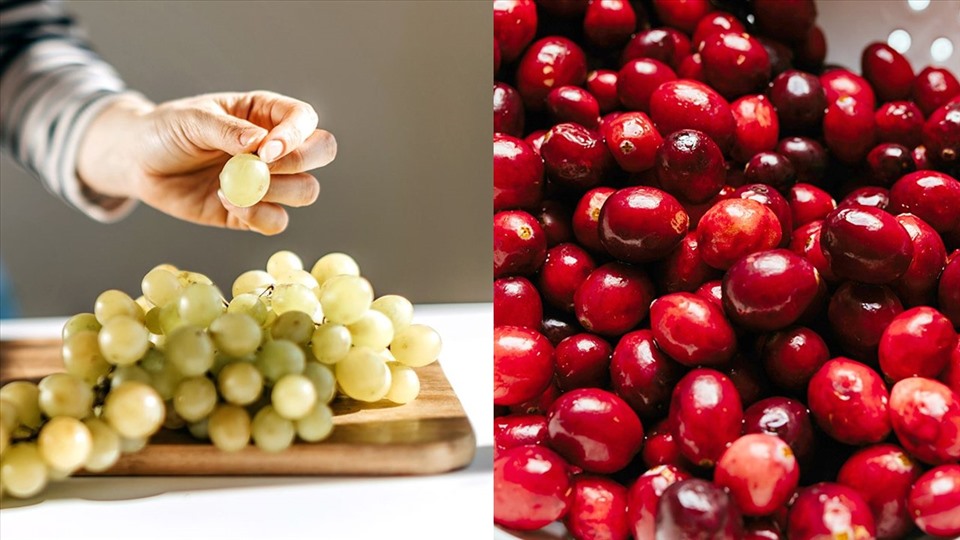 5 lý do nam việt quất là siêu thực phẩm cho mọi lứa tuổi. Đồ họa: Ngọc Ánh